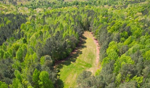 Photo #19 of SOLD property in Off Liberty Rd, Alberta, VA 57.8 acres