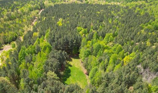 Photo #8 of SOLD property in Off Liberty Rd, Alberta, VA 57.8 acres