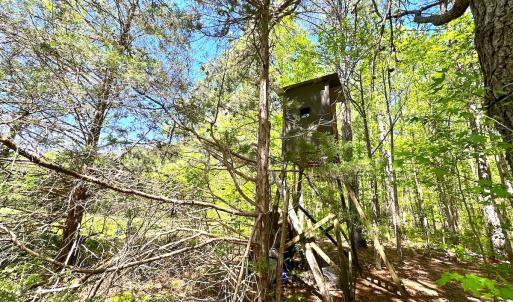 Photo #21 of SOLD property in Off Liberty Rd, Alberta, VA 57.8 acres