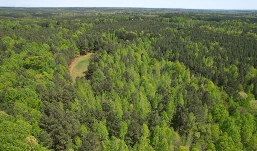 Photo #24 of SOLD property in Off Liberty Rd, Alberta, VA 57.8 acres