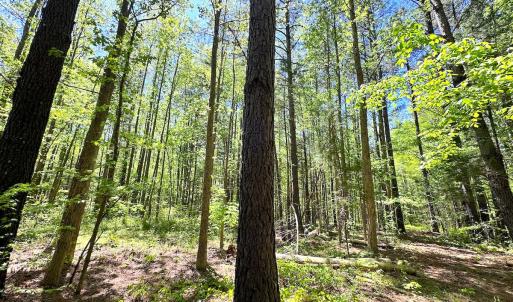 Photo #25 of SOLD property in Off Liberty Rd, Alberta, VA 57.8 acres