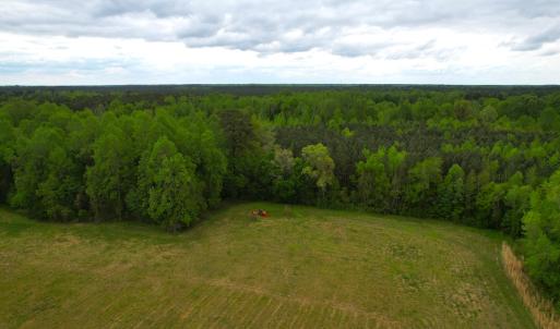 Photo #10 of SOLD property in Off Manning Rd, Suffolk, VA 12.7 acres