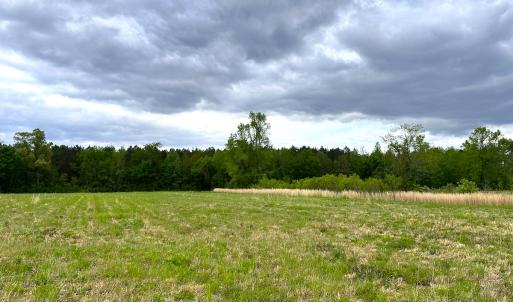 Photo #12 of Off Manning Rd, Suffolk, VA 12.7 acres