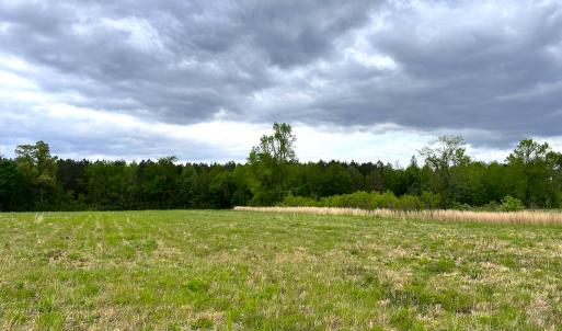 Photo #12 of SOLD property in Off Manning Rd, Suffolk, VA 12.7 acres