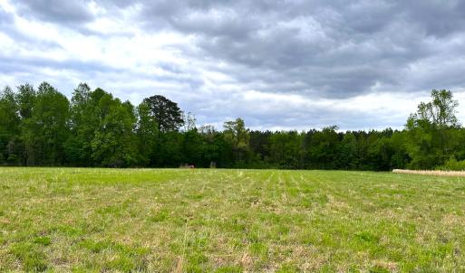 Photo #13 of SOLD property in Off Manning Rd, Suffolk, VA 12.7 acres