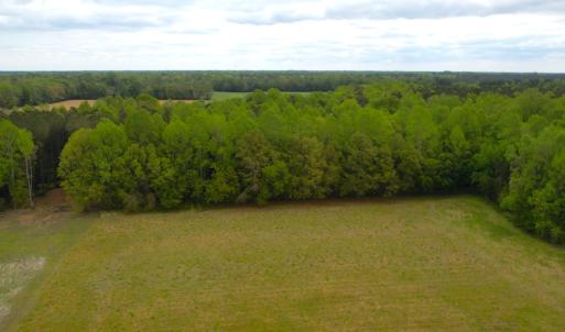Photo #17 of SOLD property in Off Manning Rd, Suffolk, VA 12.7 acres