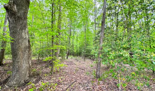 Photo #18 of Off Manning Rd, Suffolk, VA 12.7 acres
