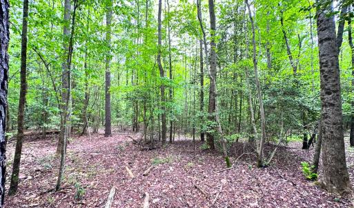 Photo #19 of SOLD property in Off Manning Rd, Suffolk, VA 12.7 acres