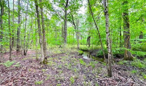 Photo #20 of SOLD property in Off Manning Rd, Suffolk, VA 12.7 acres