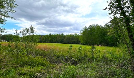 Photo #9 of SOLD property in Off Manning Rd, Suffolk, VA 12.7 acres