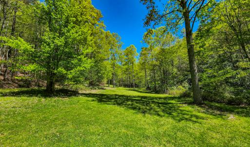 Photo #5 of 00, Stuart, VA 585.0 acres