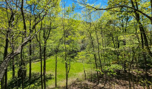 Photo #16 of 00, Stuart, VA 585.0 acres