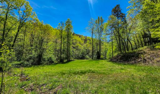 Photo #19 of 00, Stuart, VA 585.0 acres