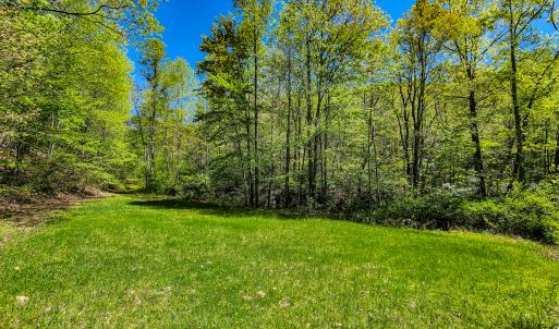 Photo #20 of 00, Stuart, VA 585.0 acres