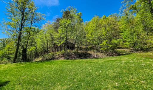 Photo #21 of 00, Stuart, VA 585.0 acres