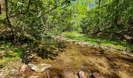 Photo #24 of 00, Stuart, VA 585.0 acres