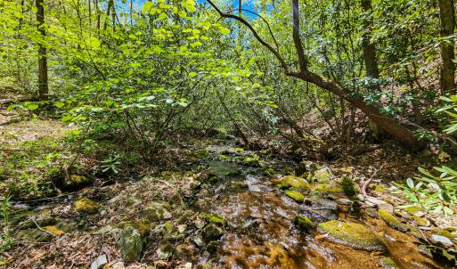 Photo #26 of 00, Stuart, VA 585.0 acres