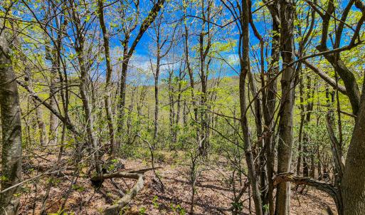 Photo #35 of 00, Stuart, VA 585.0 acres
