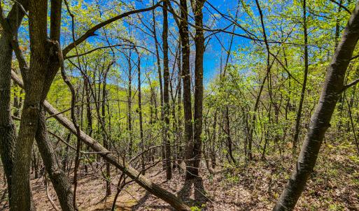 Photo #36 of 00, Stuart, VA 585.0 acres