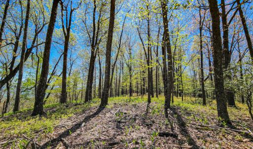 Photo #40 of 00, Stuart, VA 585.0 acres