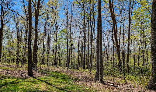 Photo #41 of 00, Stuart, VA 585.0 acres