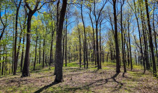 Photo #43 of 00, Stuart, VA 585.0 acres