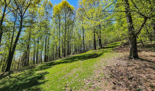 Photo #48 of 00, Stuart, VA 585.0 acres