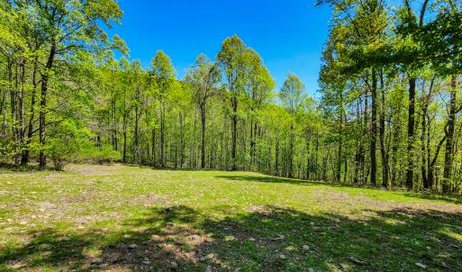 Photo #52 of 00, Stuart, VA 585.0 acres