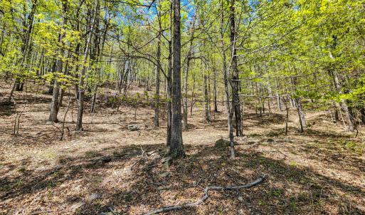 Photo #55 of 00, Stuart, VA 585.0 acres