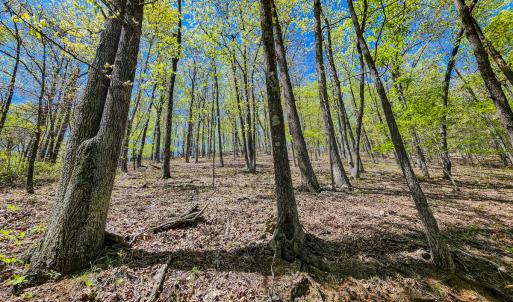 Photo #57 of 00, Stuart, VA 585.0 acres