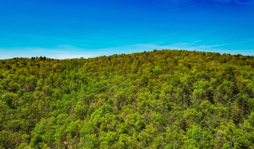 Photo #63 of 00, Stuart, VA 585.0 acres