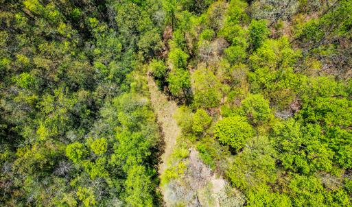 Photo #67 of 00, Stuart, VA 585.0 acres