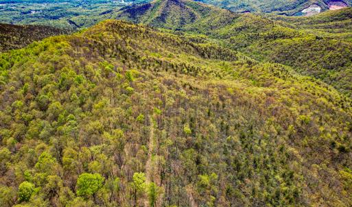 Photo #69 of 00, Stuart, VA 585.0 acres