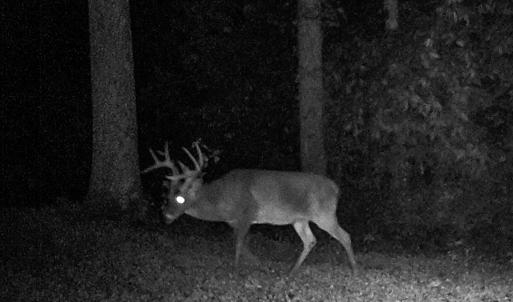 Photo #84 of 00, Stuart, VA 585.0 acres