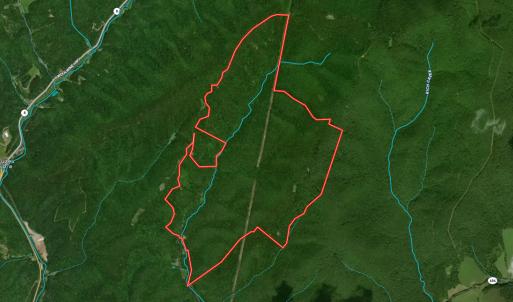 Photo #100 of 00, Stuart, VA 585.0 acres