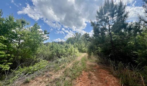 Photo #3 of SOLD property in Off Buck Rd, Middlesex, NC 98.0 acres