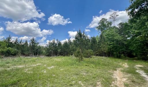 Photo #27 of SOLD property in Off Buck Rd, Middlesex, NC 98.0 acres
