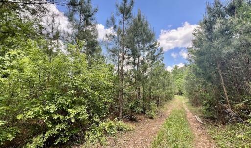 Photo #29 of SOLD property in Off Buck Rd, Middlesex, NC 98.0 acres
