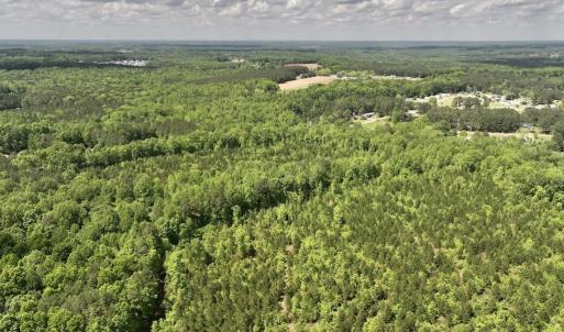 Photo #31 of SOLD property in Off Buck Rd, Middlesex, NC 98.0 acres