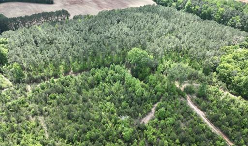 Photo #37 of SOLD property in Off Buck Rd, Middlesex, NC 98.0 acres