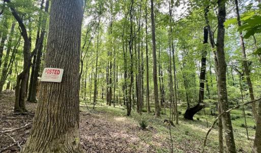 Photo #5 of SOLD property in Off Buck Rd, Middlesex, NC 98.0 acres