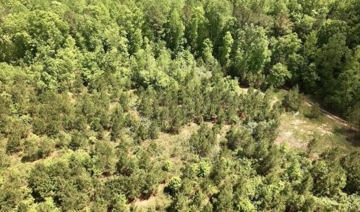 Photo #41 of SOLD property in Off Buck Rd, Middlesex, NC 98.0 acres