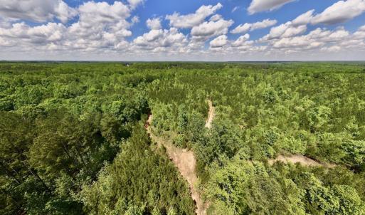 Photo #43 of SOLD property in Off Buck Rd, Middlesex, NC 98.0 acres