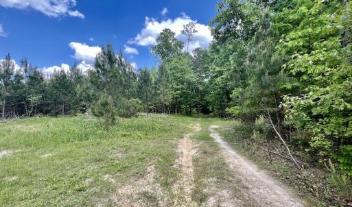Photo #7 of SOLD property in Off Buck Rd, Middlesex, NC 98.0 acres