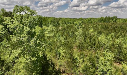 Photo #11 of SOLD property in Off Buck Rd, Middlesex, NC 98.0 acres