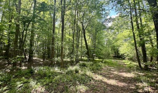 Photo #13 of SOLD property in Off Buck Rd, Middlesex, NC 98.0 acres
