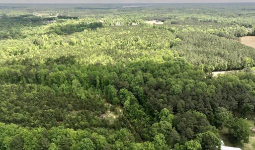 Photo #2 of SOLD property in Off Buck Rd, Middlesex, NC 98.0 acres