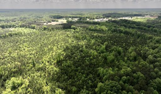 Photo #18 of SOLD property in Off Buck Rd, Middlesex, NC 98.0 acres