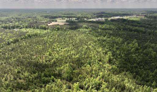 Photo #20 of SOLD property in Off Buck Rd, Middlesex, NC 98.0 acres