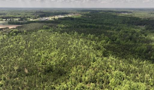 Photo #22 of SOLD property in Off Buck Rd, Middlesex, NC 98.0 acres